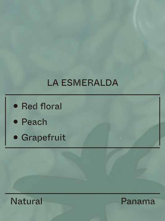 Panama - La Esmeralda, El Velo, Gesha