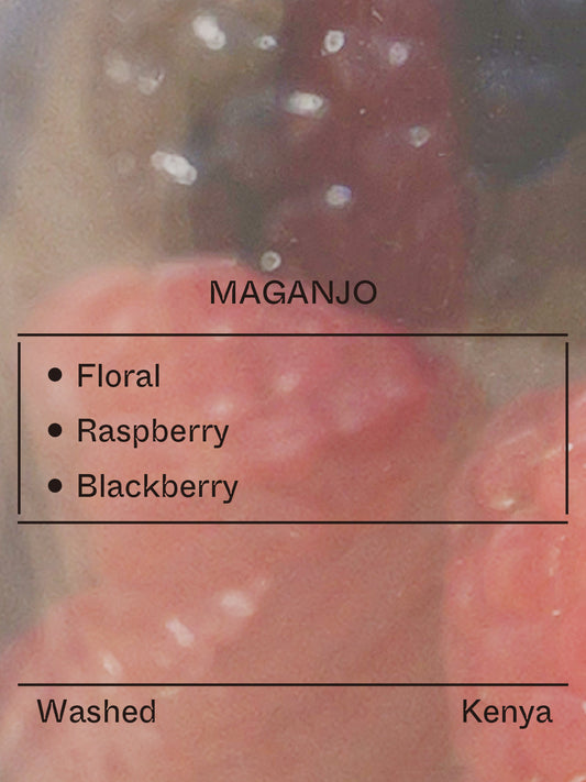 Kenya - Maganjo, SL28&Ruiru11