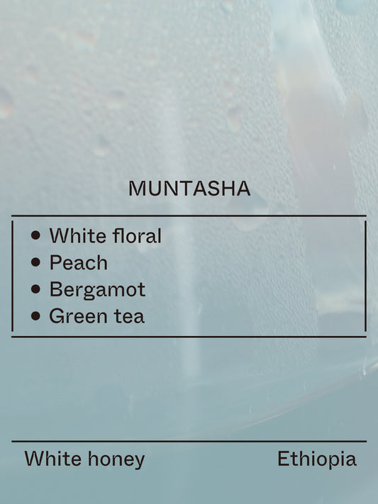 Ethiopia - Muntasha, 74158