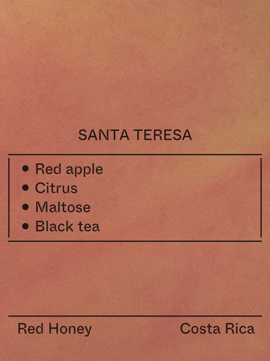 Costa Rica - Santa Teresa, Typica Mejorado
