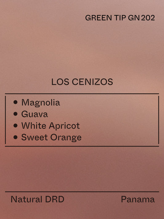 Panama - Los Cenizos, Gesha