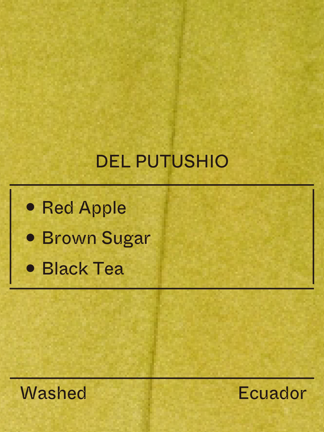 Ecuador - Del Putushio, Typica Mejorado