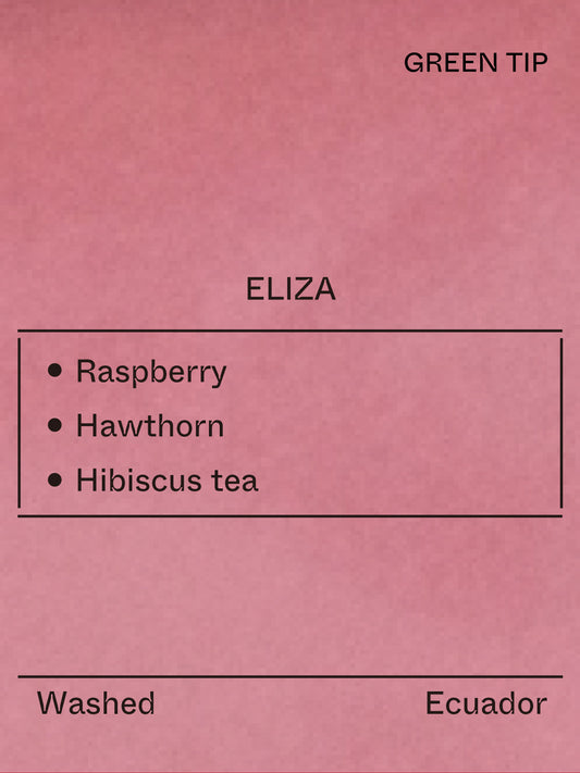 Ecuador - Eliza, Gesha