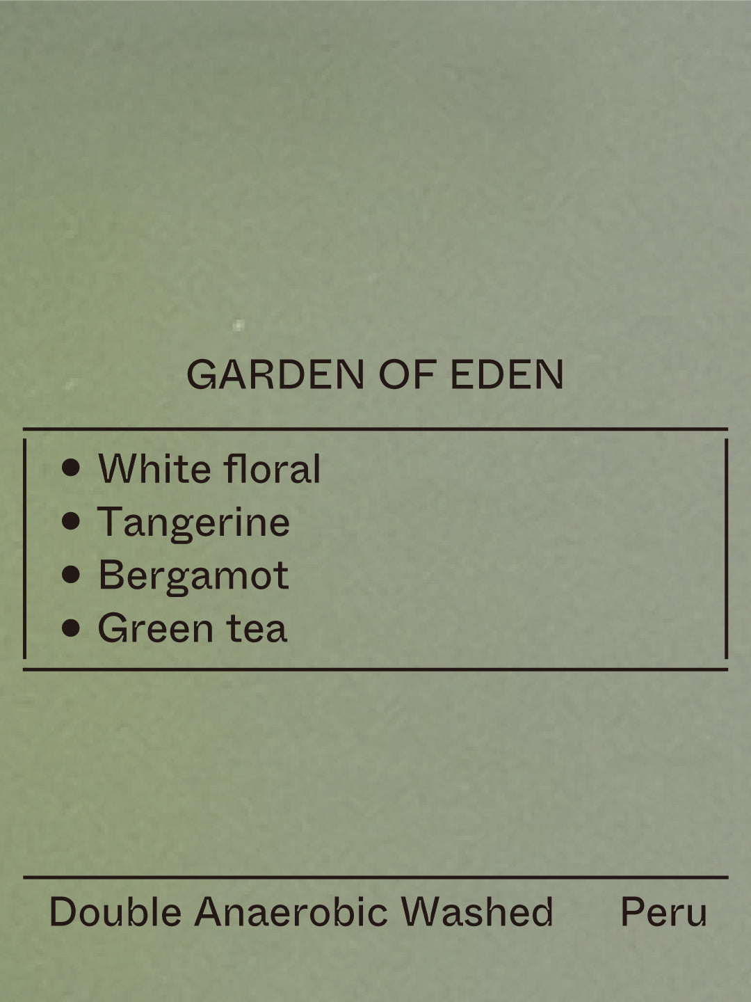 Peru - Garden of Eden, Gesha