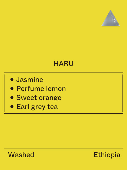 Ethiopia - Haru, Ethiopian Landrace