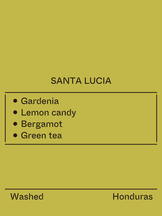 Honduras - Santa Lucia, Gesha