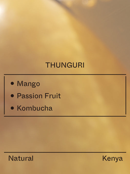 Kenya - Thunguri, SL28&SL34&Ruiru11&Batian
